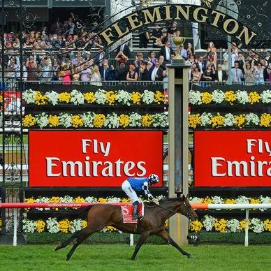 OTL_Punting's profile picture. Form analyst, jockey manager & industry consultant - passionate about all things racing I work to advance the interests of punters, owners, trainers & jockeys.