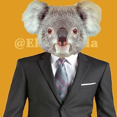 La vida sería más fácil si todos fuéramos koalas. Sólo dormimos.