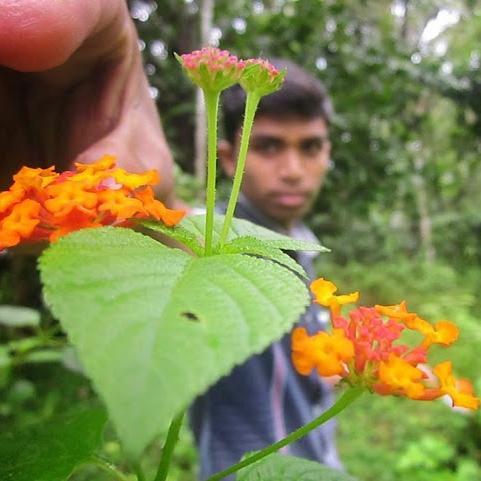 AbhijithMP2014's profile picture. I want to become a film maker