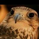 ياآآغـريـب گن أديـب♡ (@11fhad23) Twitter