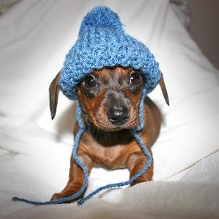 Loves reading and mini dachsunds.