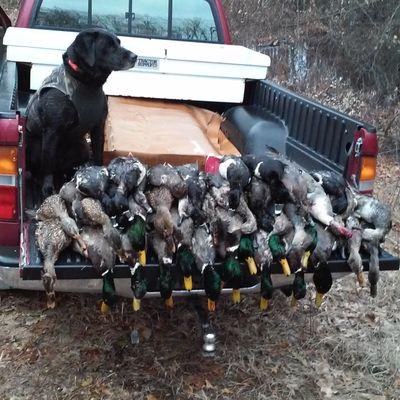 I'm Dusty I'm 21 and I'm I like huntin and fish in and partying lol
