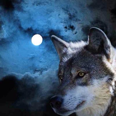 Im in WolfSquadd, I edit, film, and cap. I use Sony Vegas Pro 13 Adobe After Effects cs6 I cap with a Hauppauge HDPVR