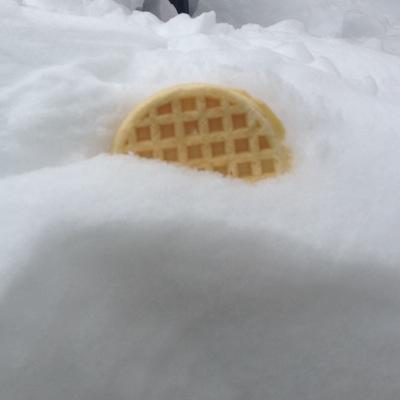 The adventures of Wiffle the Waffle !!