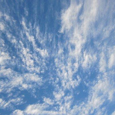 寝てるときも目が開いてます