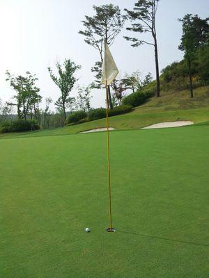 imypinetree's profile picture. 휴 ·이끌림