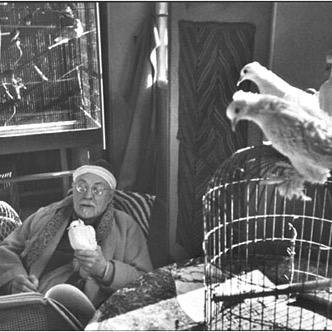 AdamHillSentenc's profile picture. Anomaly, and a knife with no handle, lacking a blade.