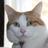 BellaGingerCat's profile image