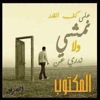 s330al's profile picture. 