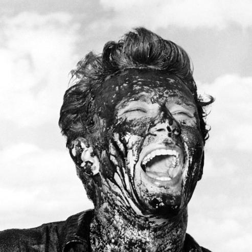 Thegimchiking's profile picture. 