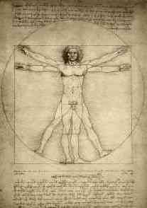 vineetpillai's profile picture. Chief Manager QA - Gemporia