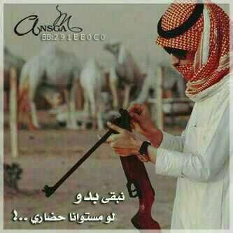 moh19886's profile picture. 