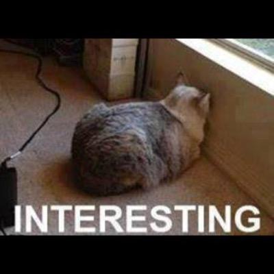 FOLLOW ME AND GAIN FOLLOWERS# FOLLOW BACK 100% INSTANT