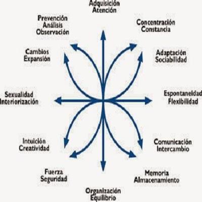 Página Oficial de la Asociación Malagueña de Grafopsicología (A.M.A.G.R.A.F.O.)
Promoción Estudio de la Grafopsicología