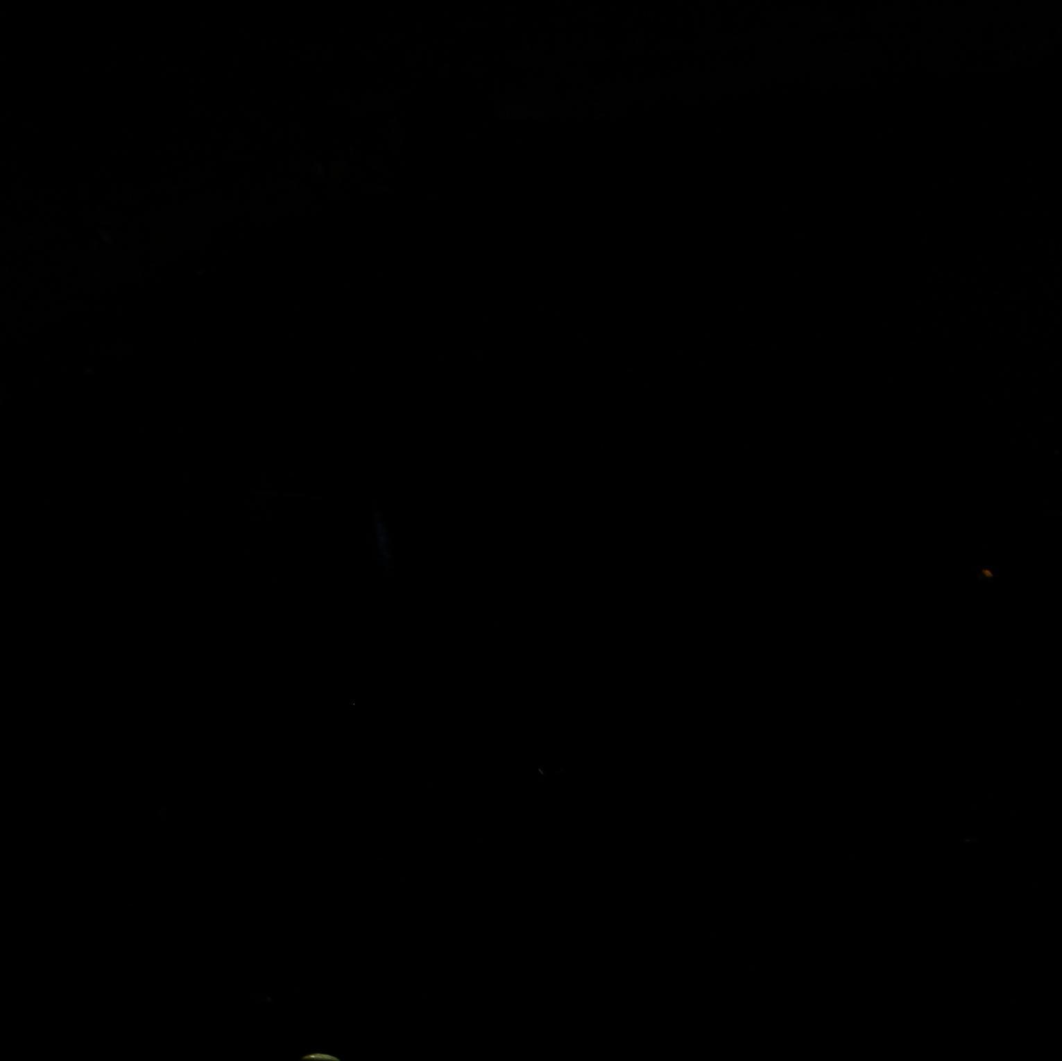 leen3l3's profile picture. 