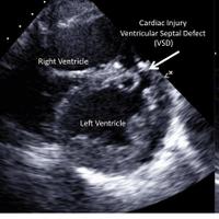 Sarah Murthi (@sarah_murthi) 's Twitter Profile