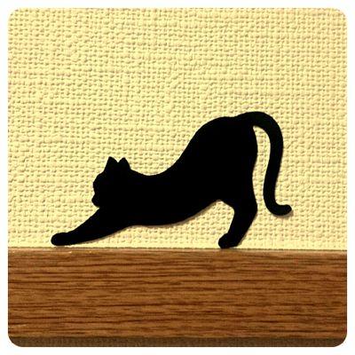 雪輪さんのプロフィール画像