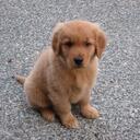 Devon Slater - @devz101 - Twitter