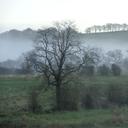 John Kappes - @Kappes1John - Twitter