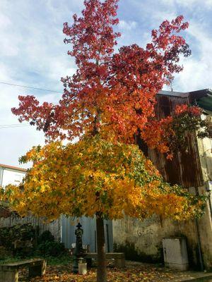 Yimmymayo's profile picture. Soñar en una vida mejor.