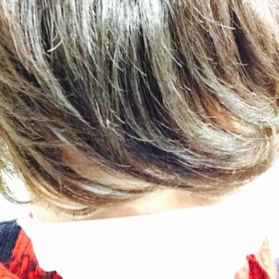 24歳。投資。副業