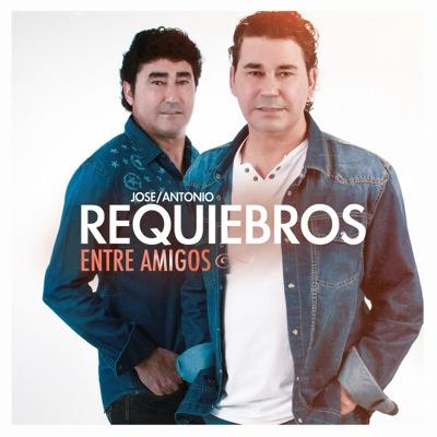 Bienvenidos a la página oficial de REQUIEBROS en twitter. Welcome to REQUIEBROS´S official twitter page.