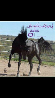 من واقع اليم تعبثت بحروف تويتر!!!
