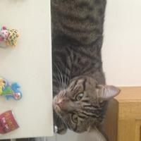 SEVGİSUN (@sevgisunyuruk) Twitter profile photo