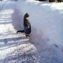 Robert Prall - @bbprall - Twitter