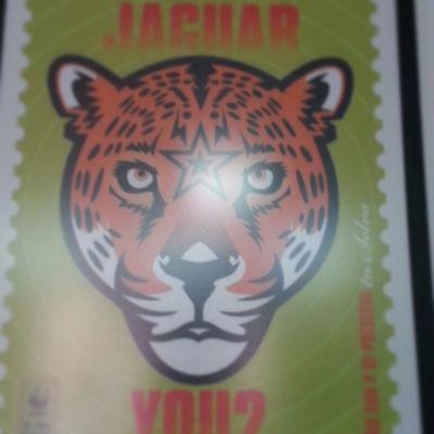 Andrew Seidl Profile