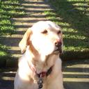 Gillian Bishop - @Gillian06839771 - Twitter