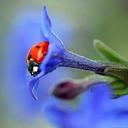 AnnBAKER - @AnnBAKER13 - Twitter