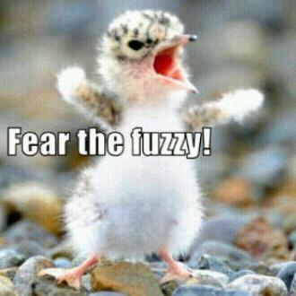 uzzimoosa15's profile picture. Life is a dream for the wise, a game for the fool, a comedy for the rich, a tragedy for the poor. ,Follow me I will follow back!!!!!!!