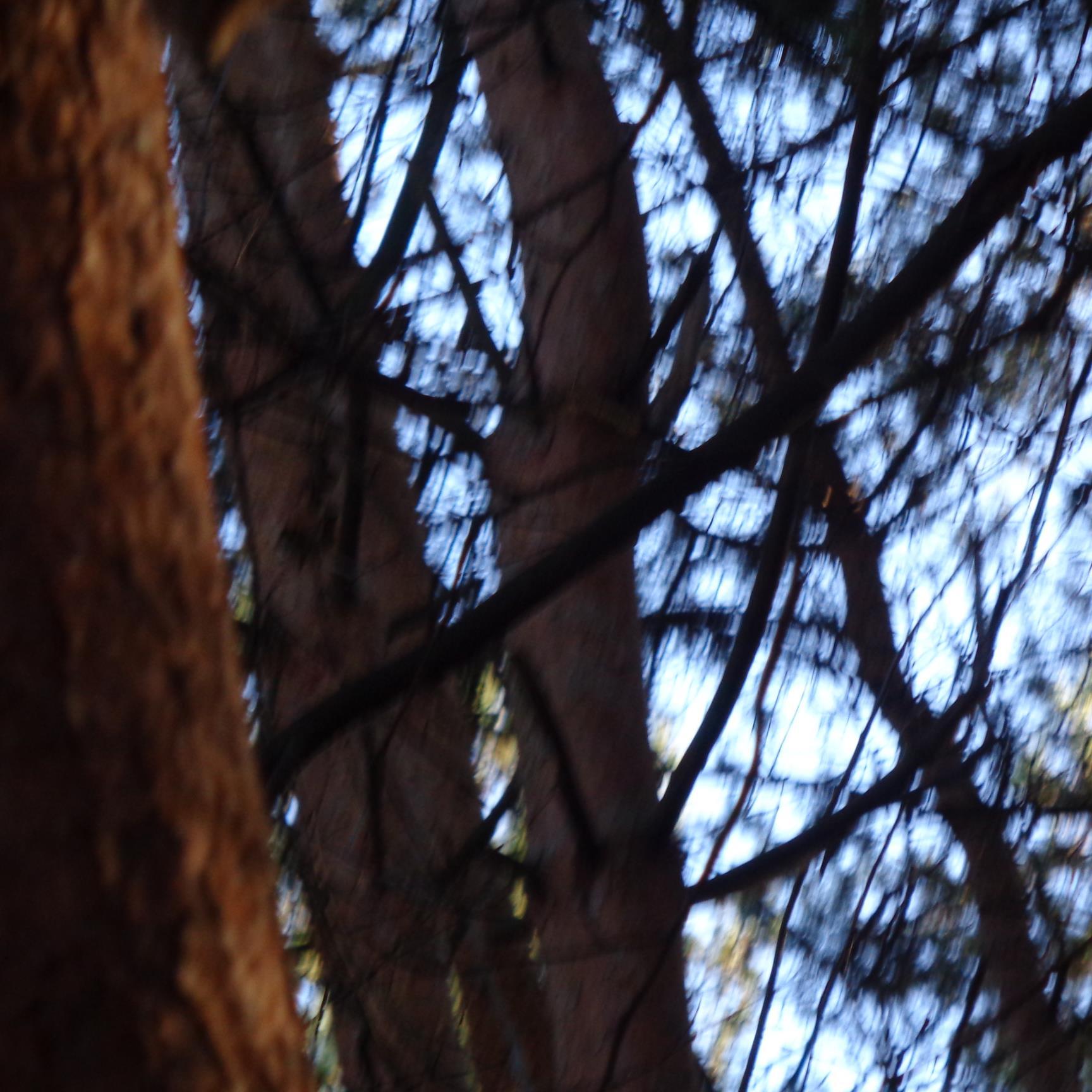 195119675229's profile picture. 