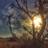 abu_adil53301's profile image
