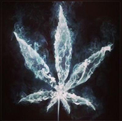 xKushables Profile Picture