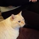 Rosa Ponte - @RosaPonte4 - Twitter