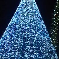 قــمـر🌗100 (@1999amarin0201) 's Twitter Profile