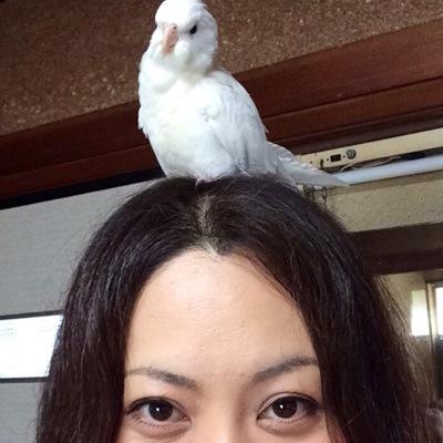 9歳、7歳、6歳子育て中のアラフォーきのこ屋。なめこ作ってます。