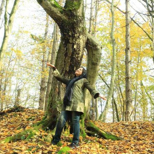 elhamhanif's profile picture. 