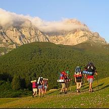 naturcyl's profile picture. 