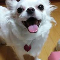 장승조 (@ssangear) 's Twitter Profile