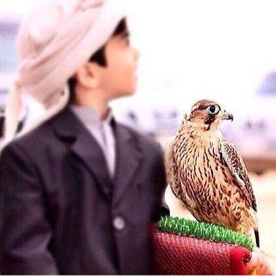 متابعتكم شرف لي ،،،مرحباً بالجميعع