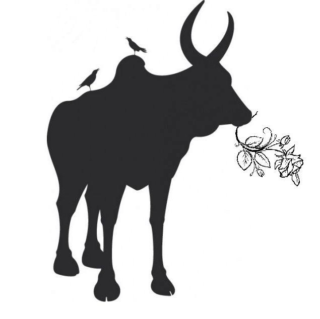Zebu's roseさんのプロフィール画像