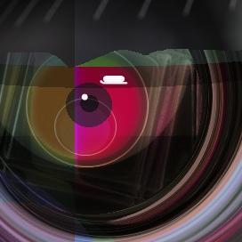 AdamCuttlebone's profile picture. arts - pictures with sens - animals - ambient - sounds - origines - #StopYulinFOREVER  - http://t.co/ZukWllVHaI