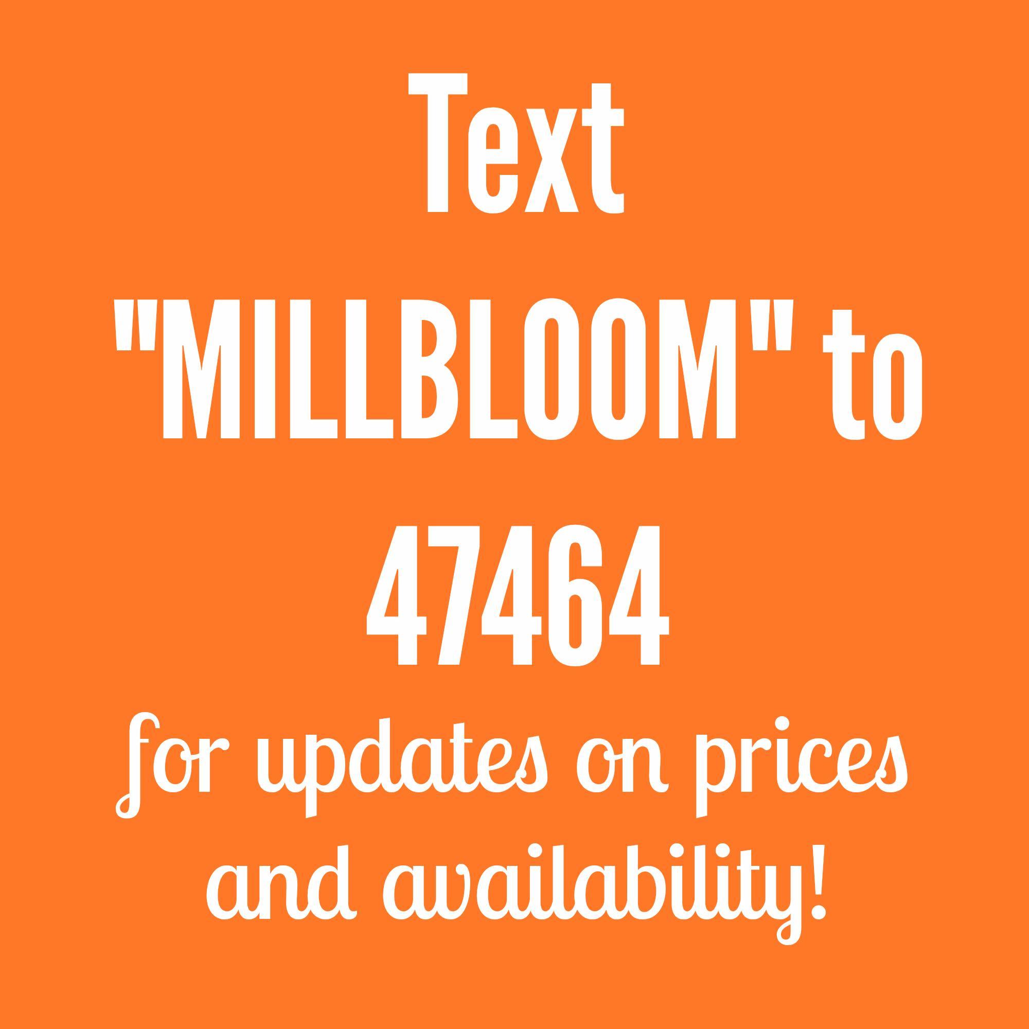 BloomApartments's profile picture. Inspired living.