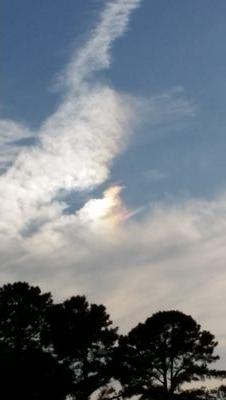 aciremark's profile picture. Staying informed, reading between the lines, antifact-checker