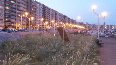 mercedesmp424's profile picture. 