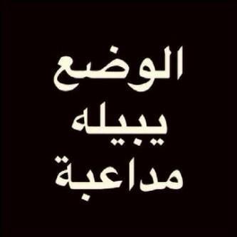 32311e147040416's profile picture. 