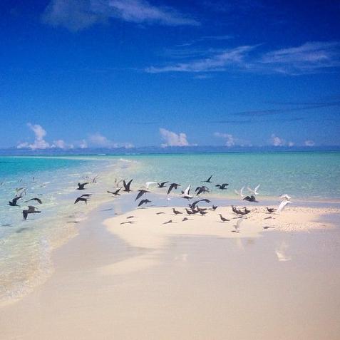 #maldives white sandy beaches